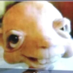 Meet your Posher, Edward